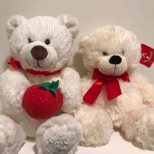 2 Adorable Teddy Bears